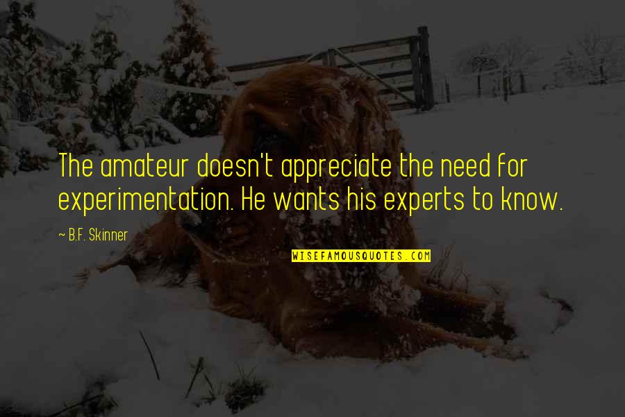 Misyonerlik Quotes By B.F. Skinner: The amateur doesn't appreciate the need for experimentation.