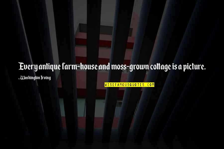 Mitad Quotes By Washington Irving: Every antique farm-house and moss-grown cottage is a
