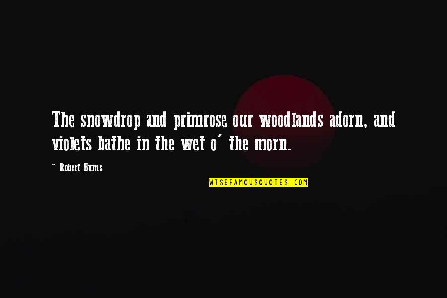 Mitamura Porcelain Quotes By Robert Burns: The snowdrop and primrose our woodlands adorn, and Mitamura Porcelain Quotes By Robert Burns: The snowdrop and primrose our woodlands adorn, and
