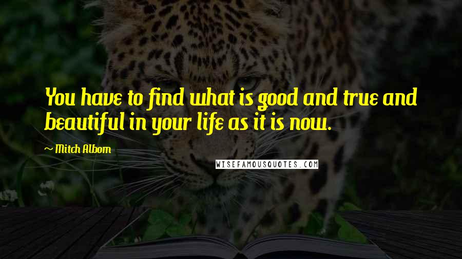 Mitch Albom quotes: You have to find what is good and true and beautiful in your life as it is now.