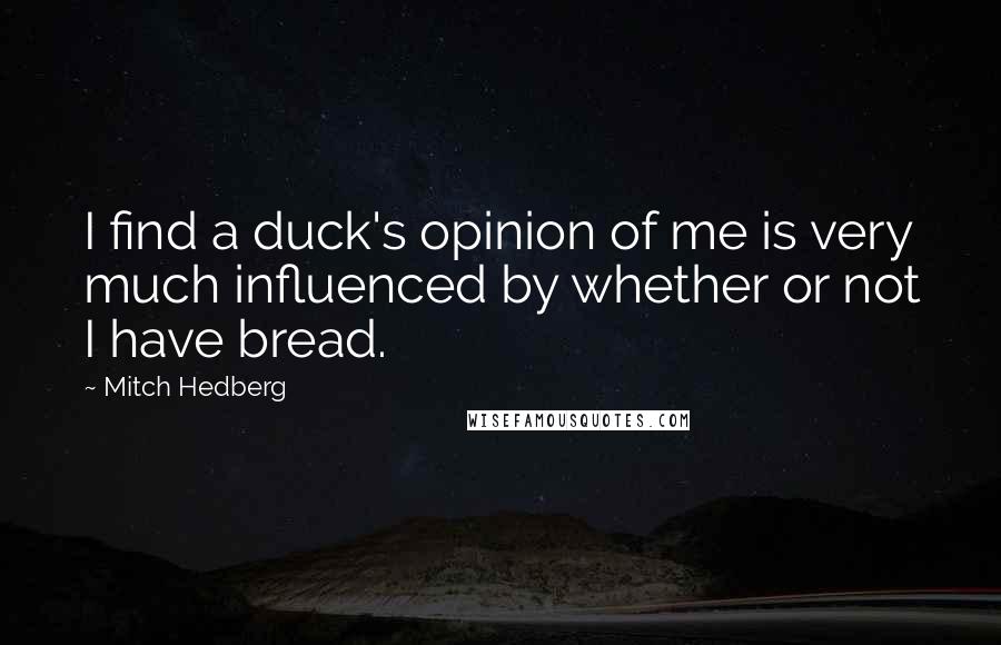 Mitch Hedberg quotes: I find a duck's opinion of me is very much influenced by whether or not I have bread.