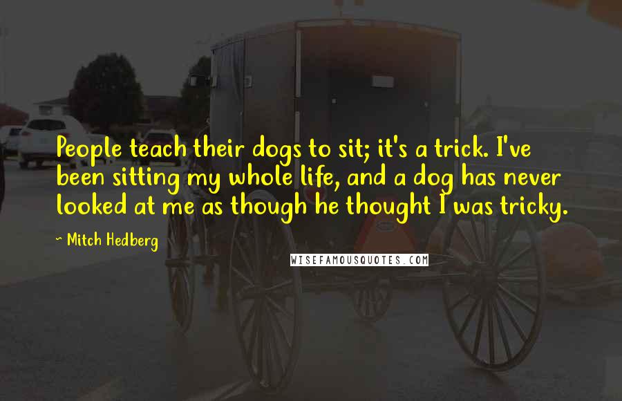 Mitch Hedberg quotes: People teach their dogs to sit; it's a trick. I've been sitting my whole life, and a dog has never looked at me as though he thought I was tricky.