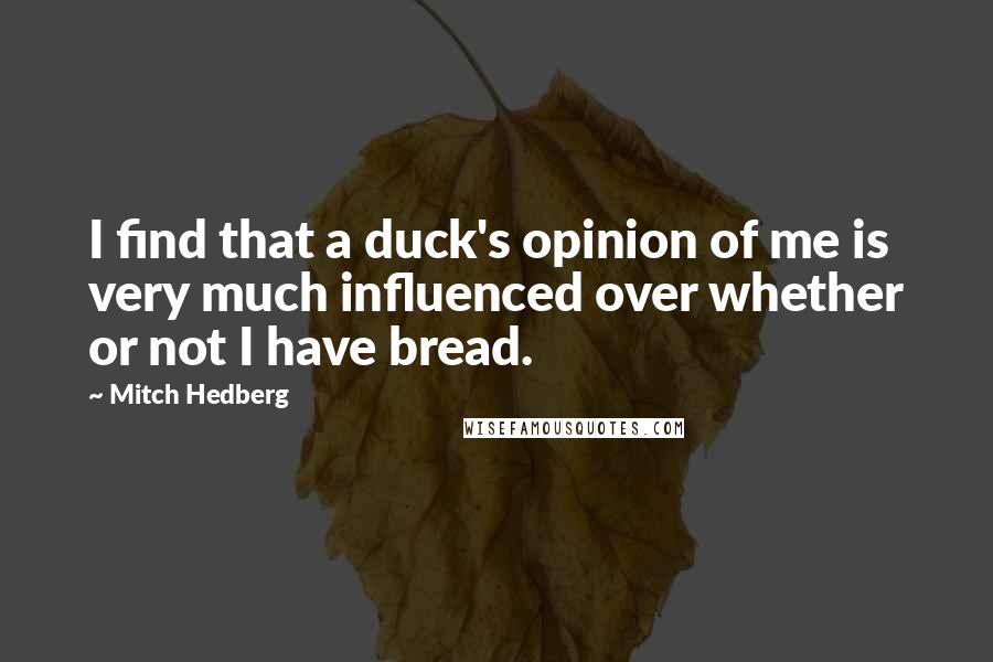 Mitch Hedberg quotes: I find that a duck's opinion of me is very much influenced over whether or not I have bread.