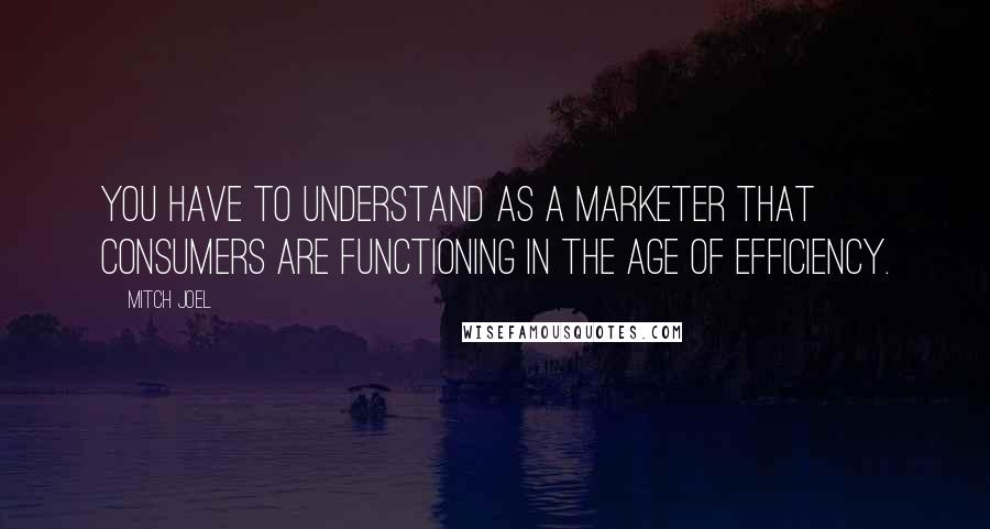Mitch Joel quotes: You have to understand as a marketer that consumers are functioning in the age of efficiency.