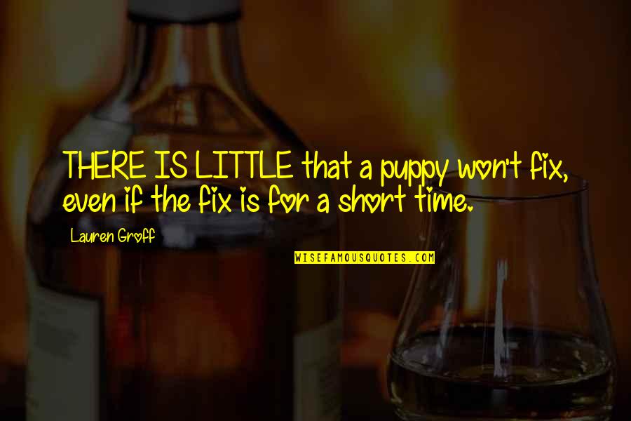 Mitch Lucker Quotes By Lauren Groff: THERE IS LITTLE that a puppy won't fix,