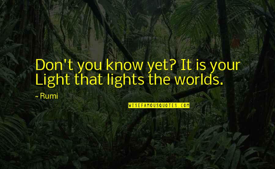 Mitchel Cave Quotes By Rumi: Don't you know yet? It is your Light