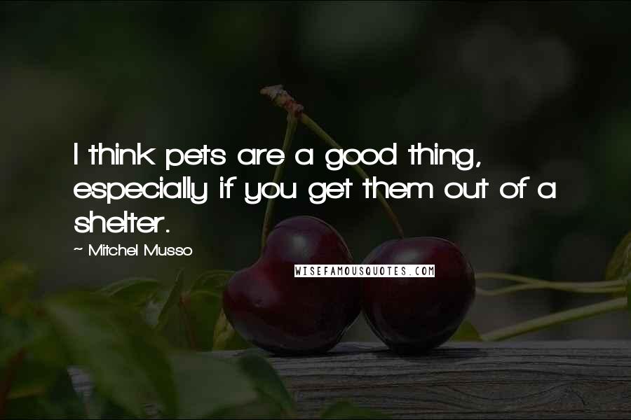 Mitchel Musso quotes: I think pets are a good thing, especially if you get them out of a shelter.