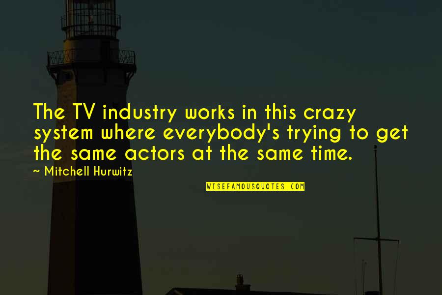Mitchell Hurwitz Quotes By Mitchell Hurwitz: The TV industry works in this crazy system Mitchell Hurwitz Quotes By Mitchell Hurwitz: The TV industry works in this crazy system