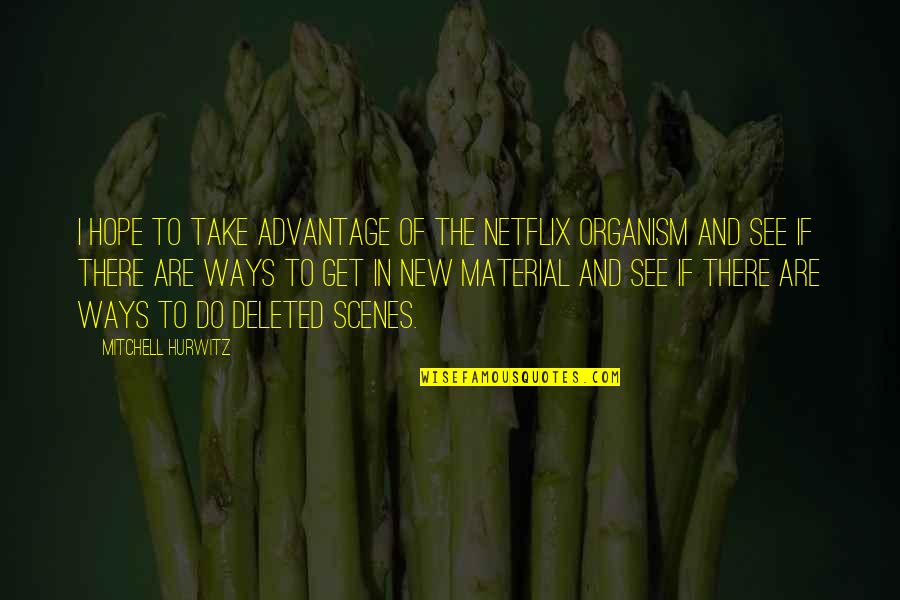 Mitchell Hurwitz Quotes By Mitchell Hurwitz: I hope to take advantage of the Netflix