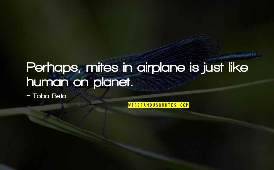 Mites Quotes By Toba Beta: Perhaps, mites in airplane is just like human