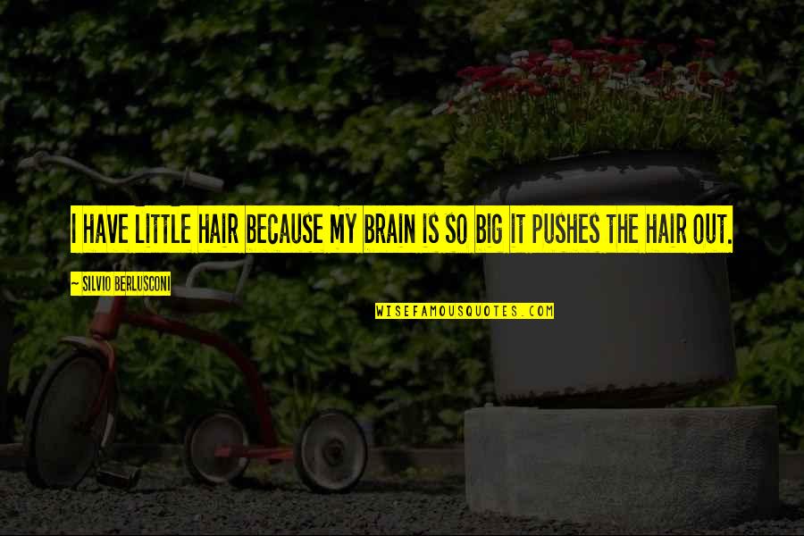 Mitigations To Climate Quotes By Silvio Berlusconi: I have little hair because my brain is Mitigations To Climate Quotes By Silvio Berlusconi: I have little hair because my brain is