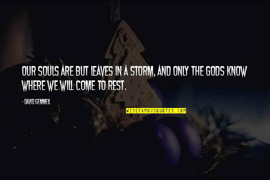 Mitkovic Quotes By David Gemmell: Our souls are but leaves in a storm,