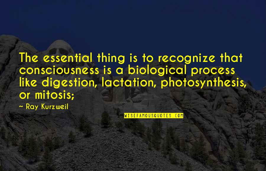 Mitosis Quotes By Ray Kurzweil: The essential thing is to recognize that consciousness