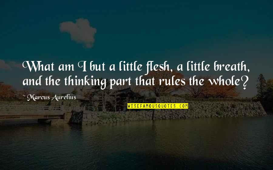 Mitre Quotes By Marcus Aurelius: What am I but a little flesh, a