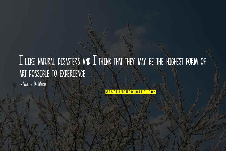 Mitsuomi Takahashi Quotes By Walter De Maria: I like natural disasters and I think that Mitsuomi Takahashi Quotes By Walter De Maria: I like natural disasters and I think that