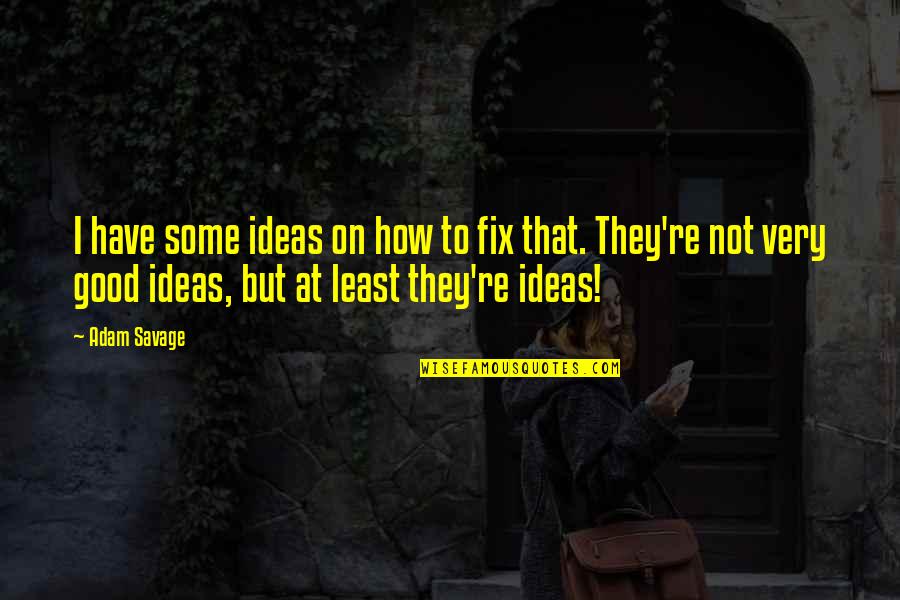 Mitsuru Ushijima Quotes By Adam Savage: I have some ideas on how to fix Mitsuru Ushijima Quotes By Adam Savage: I have some ideas on how to fix