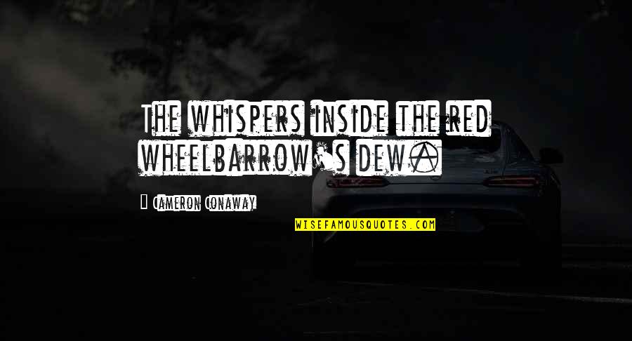 Mittie's Quotes By Cameron Conaway: The whispers inside the red wheelbarrow's dew.