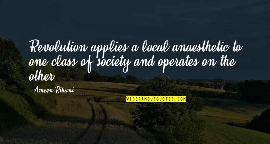 Mittman Obrazy Quotes By Ameen Rihani: Revolution applies a local anaesthetic to one class Mittman Obrazy Quotes By Ameen Rihani: Revolution applies a local anaesthetic to one class