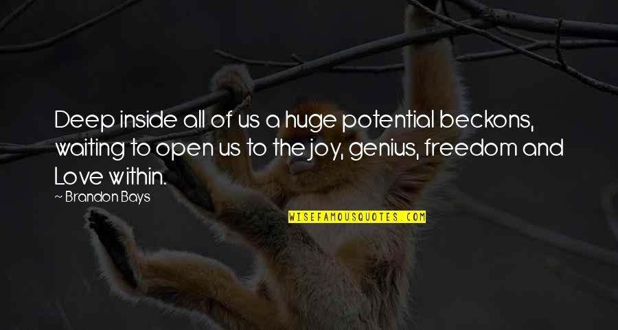 Mitunternehmer Quotes By Brandon Bays: Deep inside all of us a huge potential