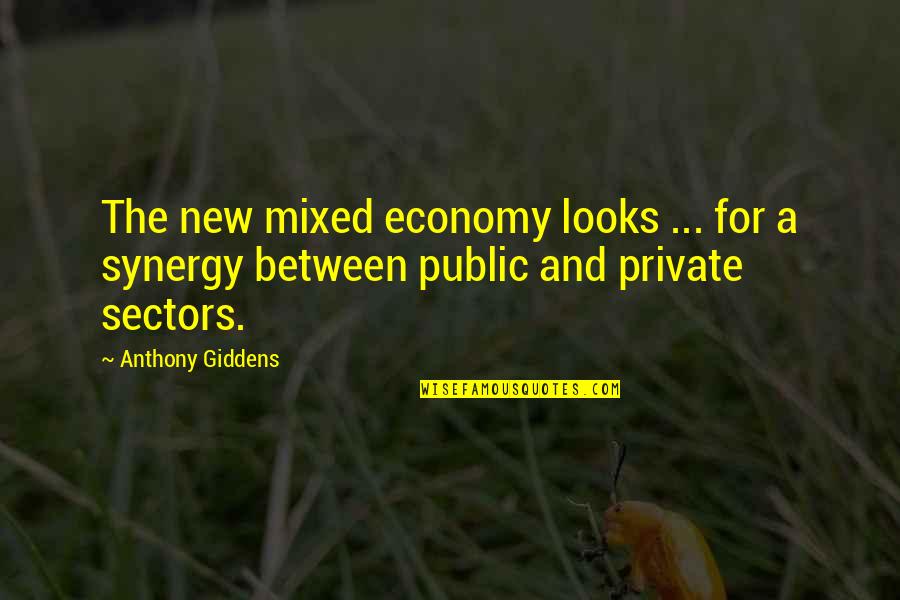 Mixed Economy Quotes By Anthony Giddens: The new mixed economy looks ... for a