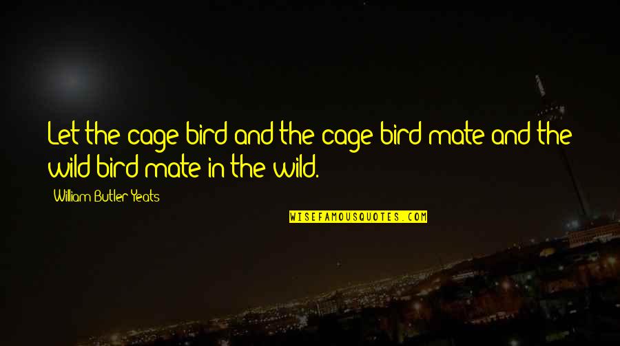 Mixed Emotions Funny Quotes By William Butler Yeats: Let the cage bird and the cage bird