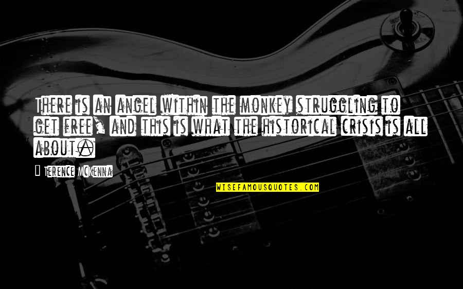 Mixture Of Emotions Quotes By Terence McKenna: There is an angel within the monkey struggling