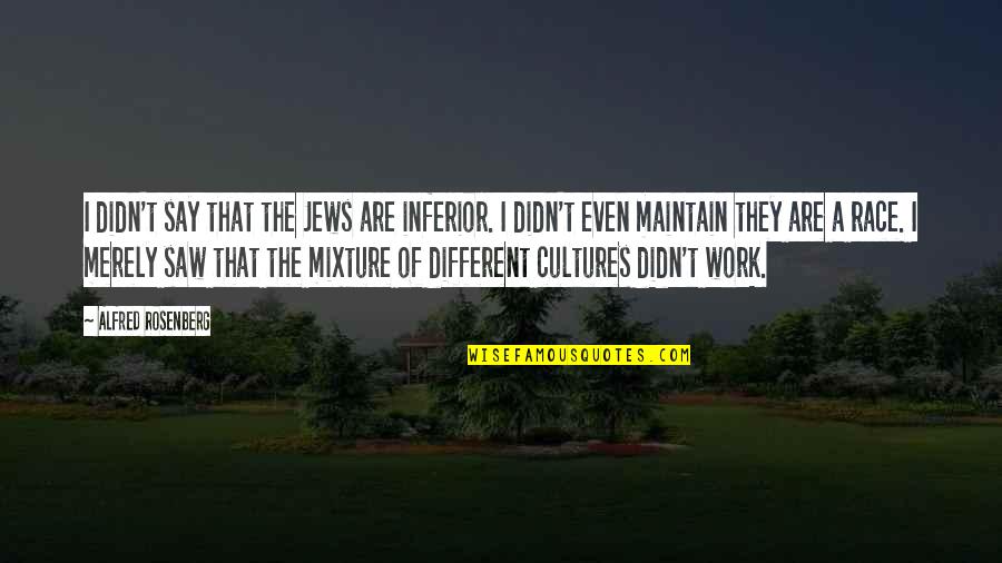 Mixture Quotes By Alfred Rosenberg: I didn't say that the Jews are inferior.