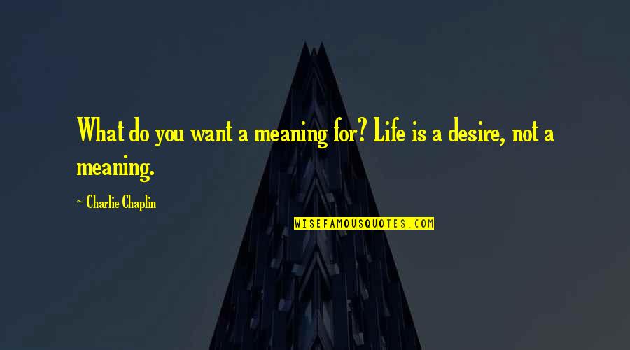 Miyake Quotes By Charlie Chaplin: What do you want a meaning for? Life
