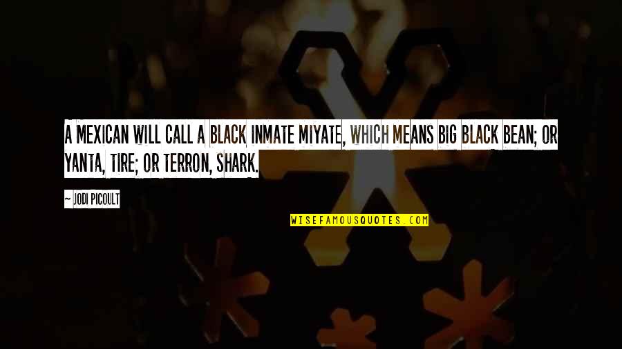 Miyate Quotes By Jodi Picoult: A Mexican will call a black inmate miyate,