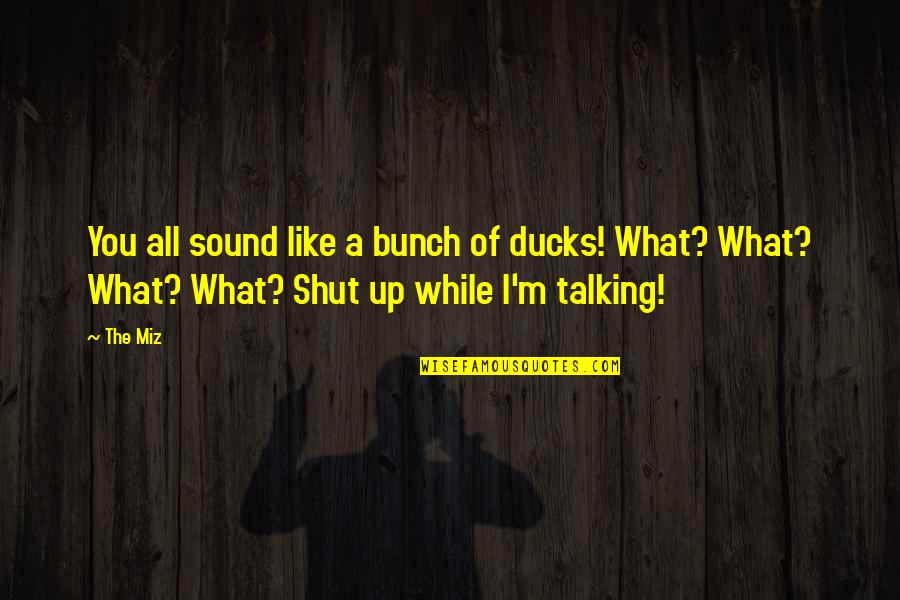 Miz Quotes By The Miz: You all sound like a bunch of ducks!