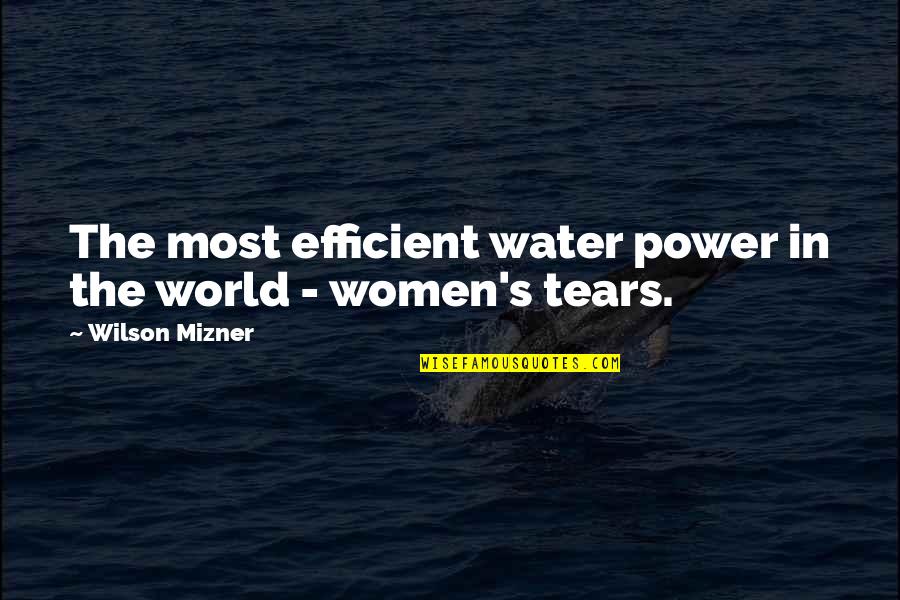 Mizner's Quotes By Wilson Mizner: The most efficient water power in the world