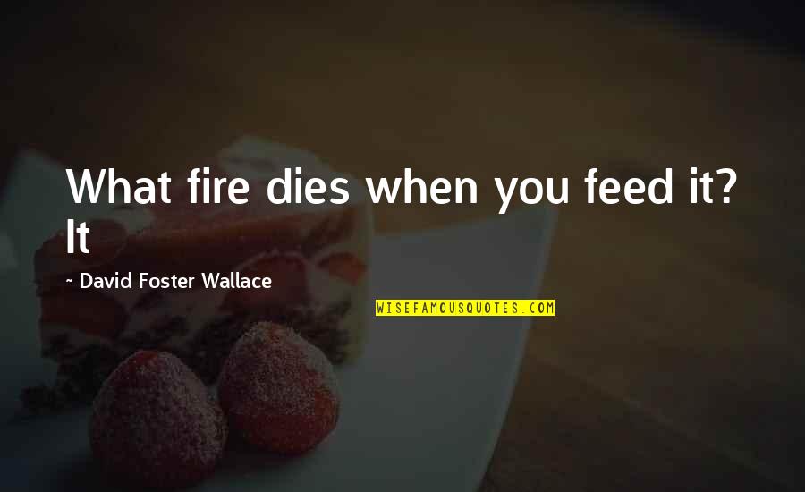 Mizore Yoroizuka Quotes By David Foster Wallace: What fire dies when you feed it? It Mizore Yoroizuka Quotes By David Foster Wallace: What fire dies when you feed it? It