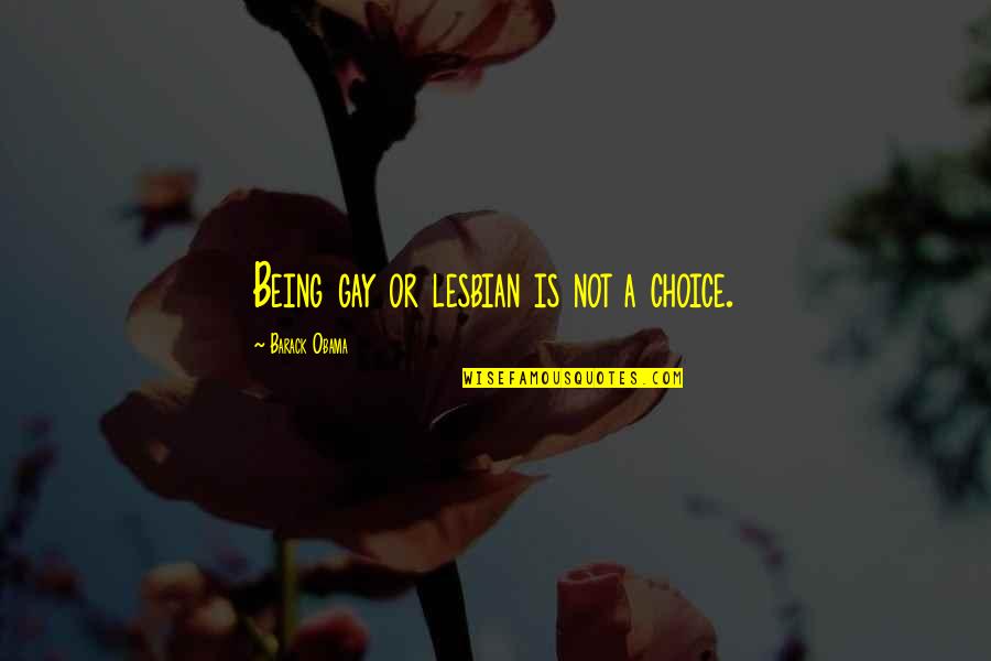 Mizutani Quotes By Barack Obama: Being gay or lesbian is not a choice.