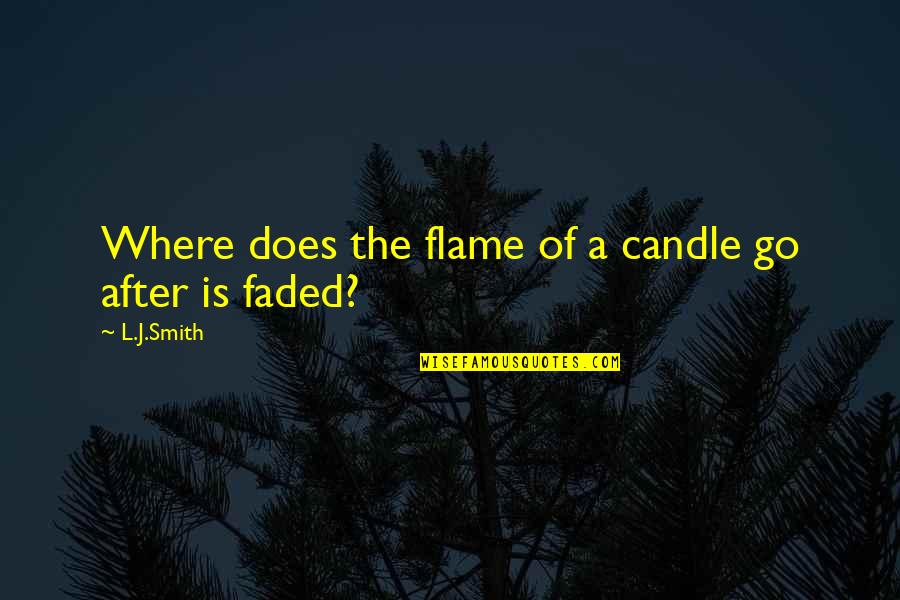 Mjoll The Lioness Quotes By L.J.Smith: Where does the flame of a candle go
