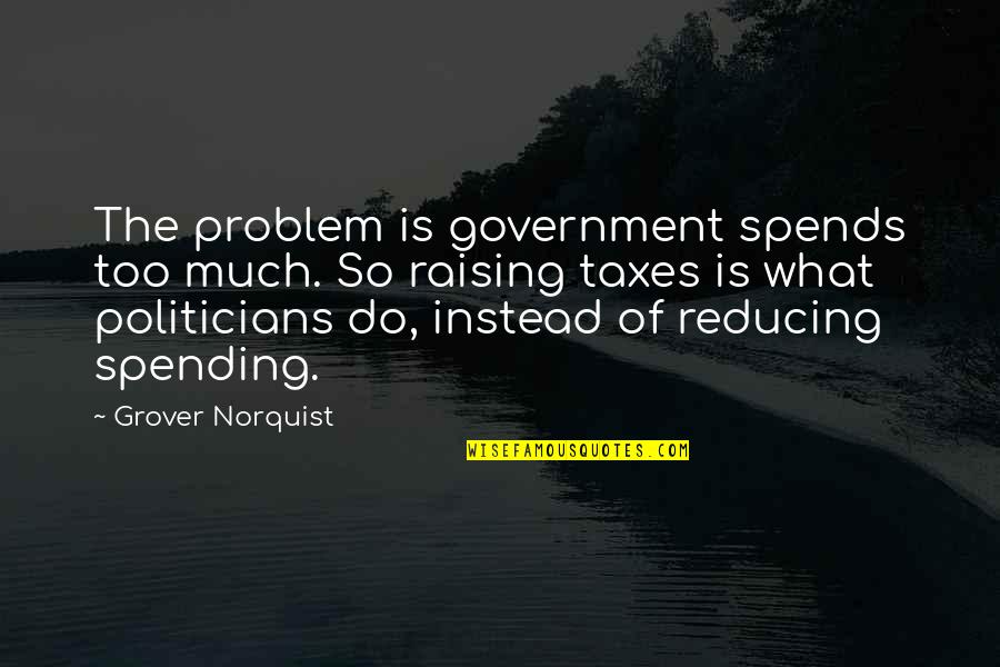 Mkoc Quotes By Grover Norquist: The problem is government spends too much. So