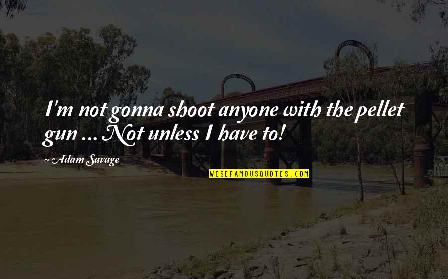 Mla Format Shortening Quotes By Adam Savage: I'm not gonna shoot anyone with the pellet