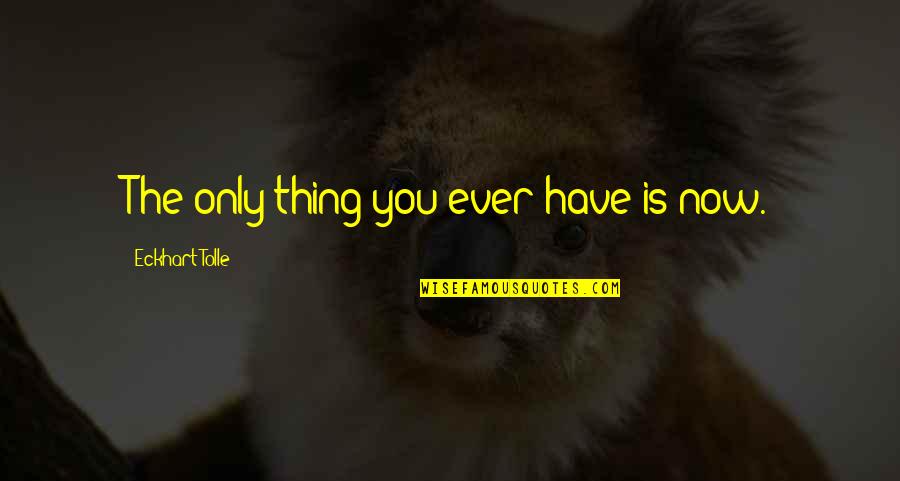 Mladenovic Wta Quotes By Eckhart Tolle: The only thing you ever have is now. Mladenovic Wta Quotes By Eckhart Tolle: The only thing you ever have is now.