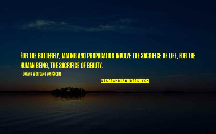 Mlp Fim Inspirational Quotes By Johann Wolfgang Von Goethe: For the butterfly, mating and propagation involve the Mlp Fim Inspirational Quotes By Johann Wolfgang Von Goethe: For the butterfly, mating and propagation involve the