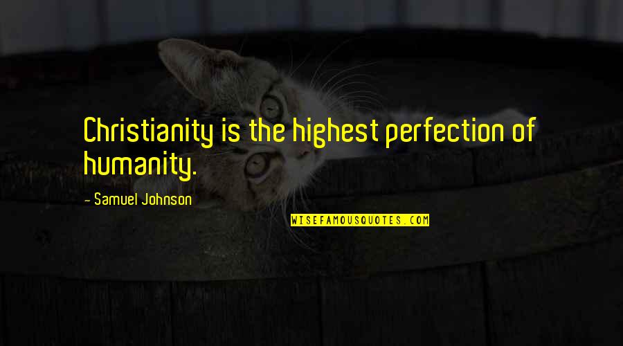 Mluvit Plynne Quotes By Samuel Johnson: Christianity is the highest perfection of humanity.