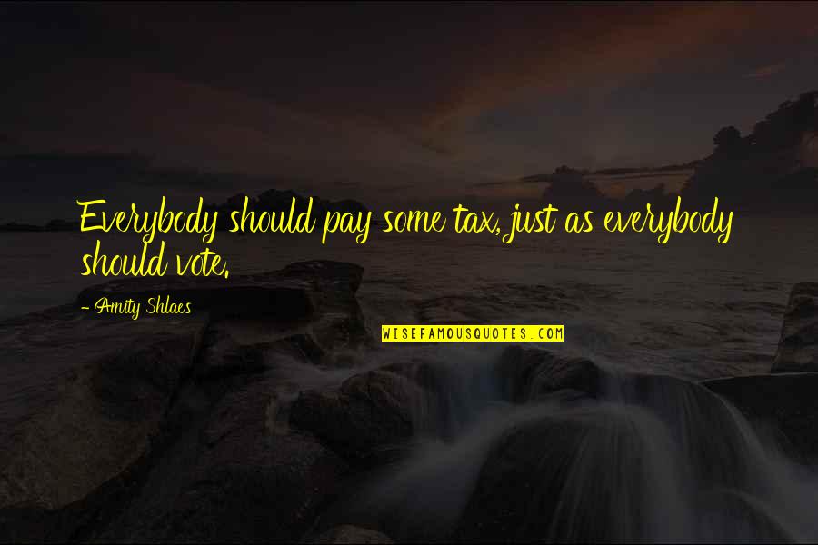 Mlvapp Quotes By Amity Shlaes: Everybody should pay some tax, just as everybody