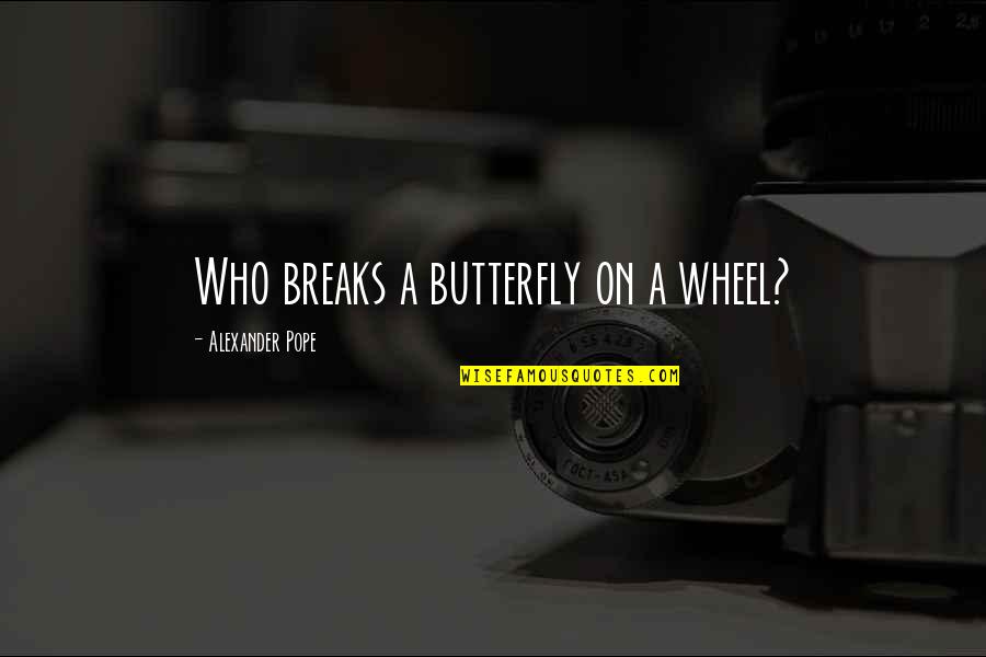 Mn Quotes By Alexander Pope: Who breaks a butterfly on a wheel?