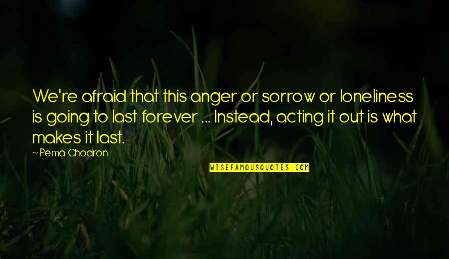 Mn State Fair Quotes By Pema Chodron: We're afraid that this anger or sorrow or