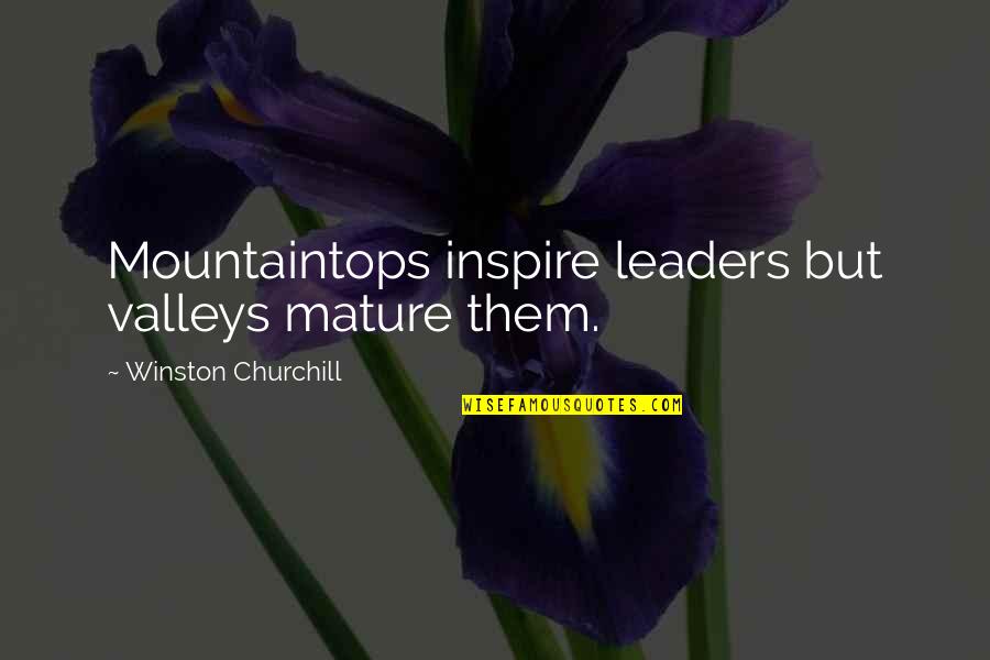 Mndset Quotes By Winston Churchill: Mountaintops inspire leaders but valleys mature them.
