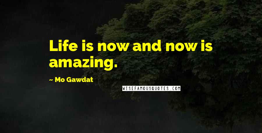 Mo Gawdat quotes: Life is now and now is amazing.