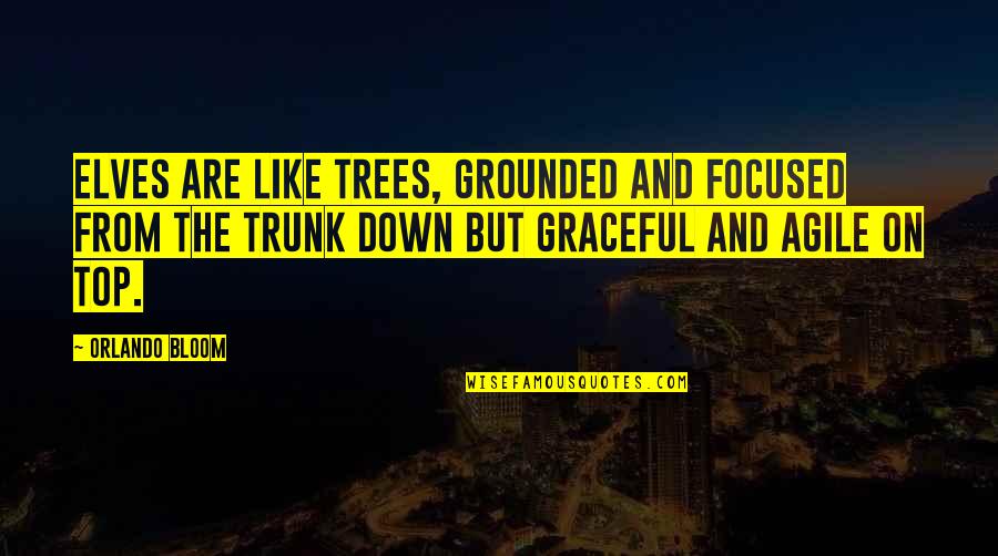 Mo Sabri Quotes By Orlando Bloom: Elves are like trees, grounded and focused from