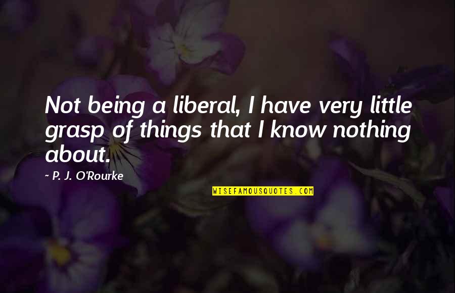 Moalemyar Quotes By P. J. O'Rourke: Not being a liberal, I have very little