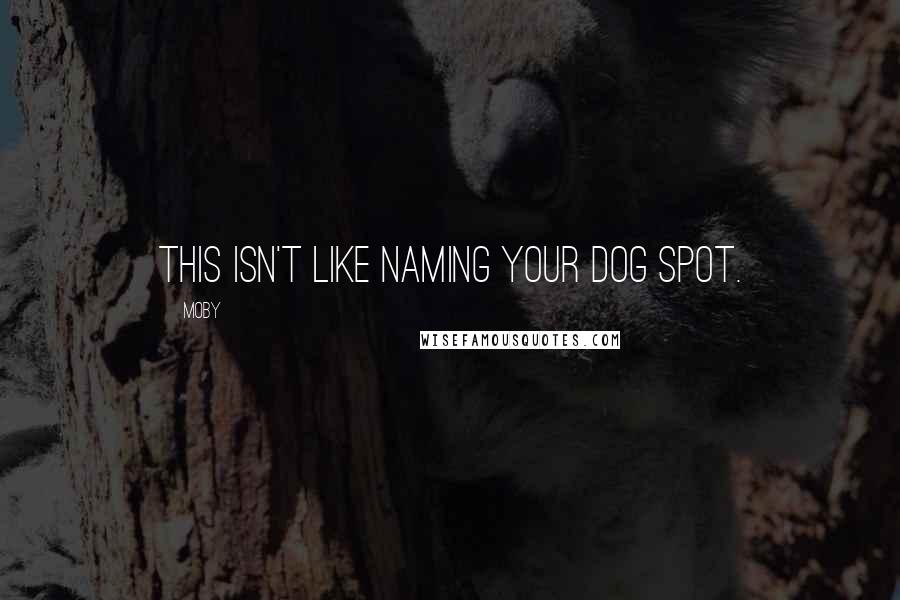 Moby quotes: This isn't like naming your dog Spot.
