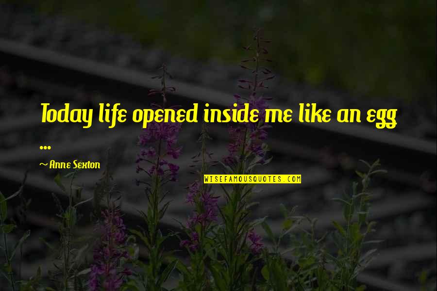 Mochaccino Quotes By Anne Sexton: Today life opened inside me like an egg