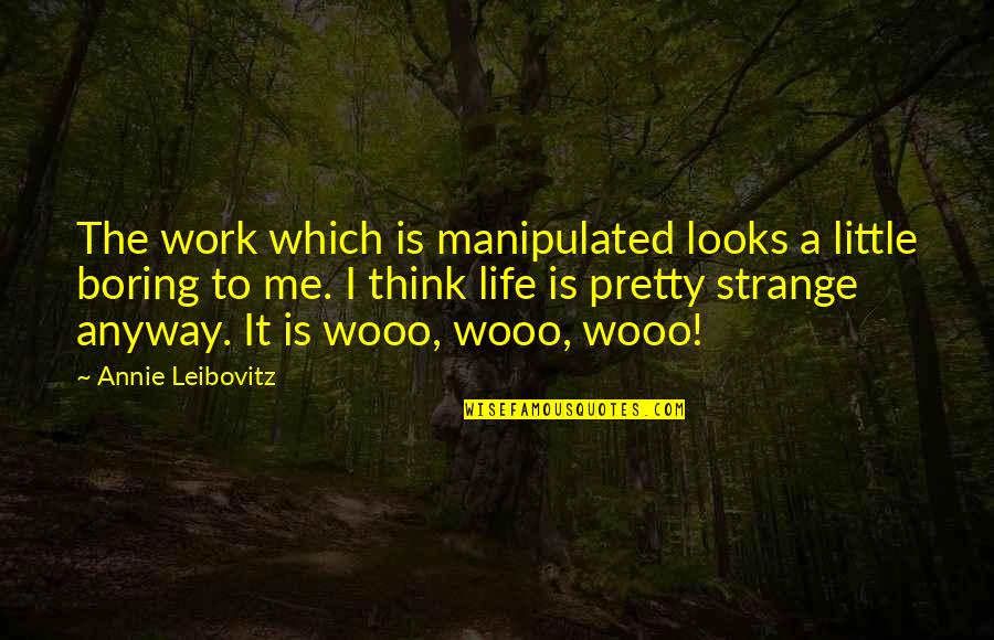 Moculescu Horia Quotes By Annie Leibovitz: The work which is manipulated looks a little Moculescu Horia Quotes By Annie Leibovitz: The work which is manipulated looks a little