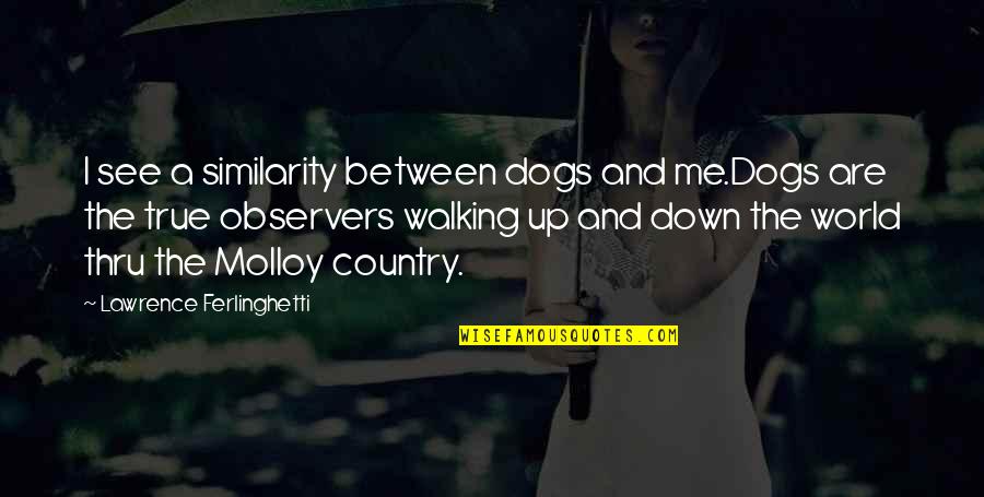 Modellen Opel Quotes By Lawrence Ferlinghetti: I see a similarity between dogs and me.Dogs